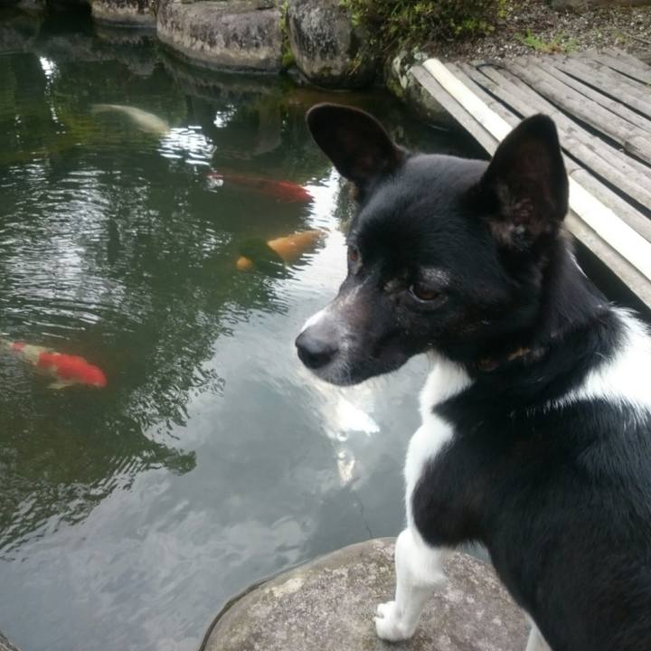 79015308 9797 4b23 a779 5bf85481ae6a