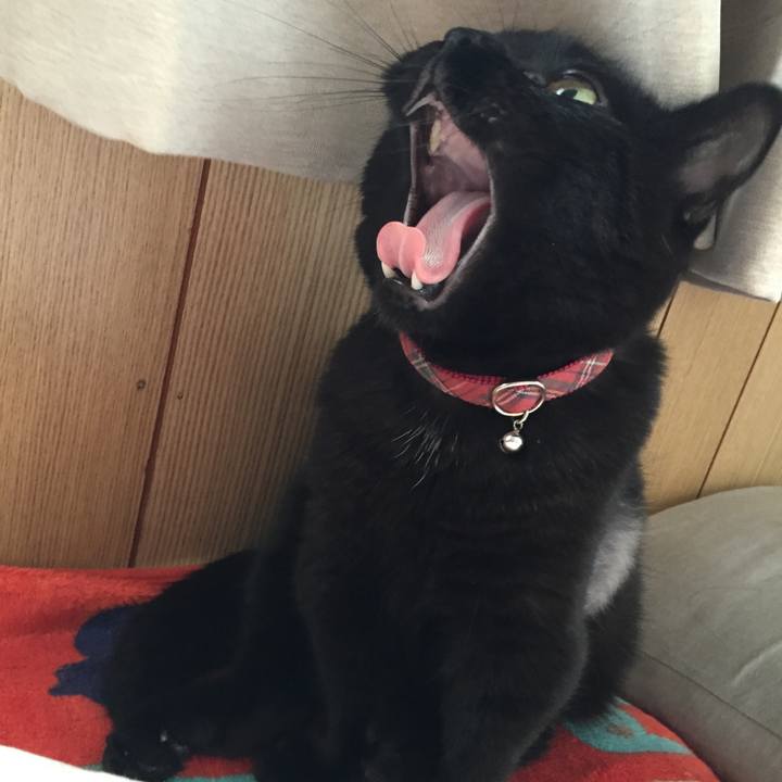 79018d08 74fa 4223 b41d 8d71d53a0a65