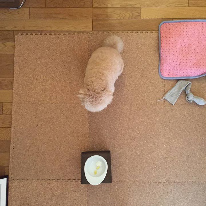 7901afde e4a0 4e34 b0be 0ab1faf33973