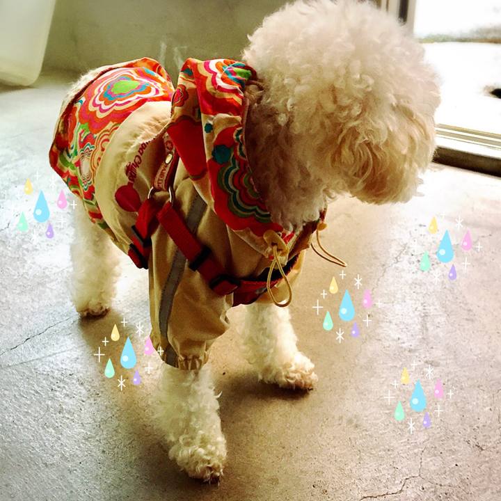 7901de27 b37b 4410 8de0 599c455ea6bb