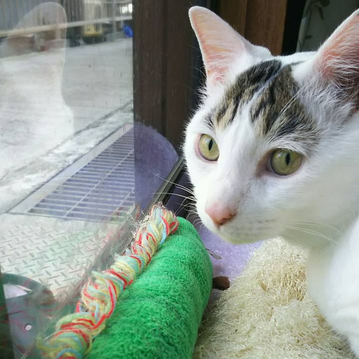 79025af6 0407 4cae 9271 a7403bbb34f5