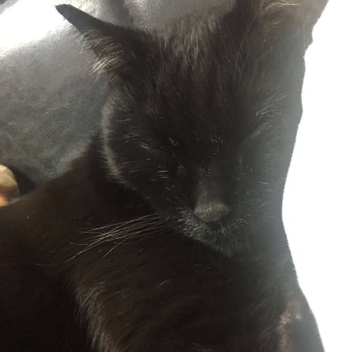 790265fc 0c00 4c8c 8119 e6e64598dc11