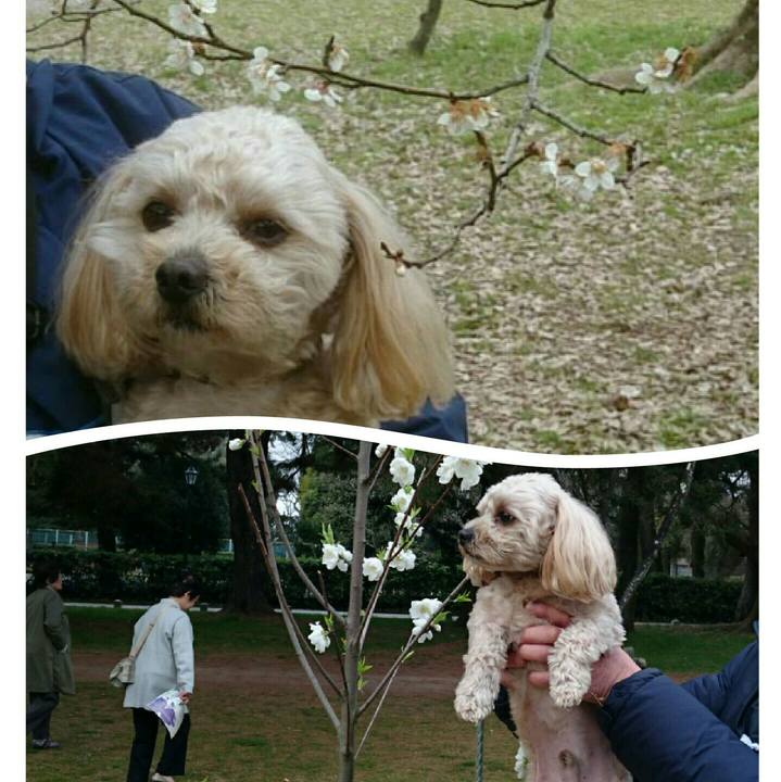 79028cf7 e329 4488 88a8 951b580faa18