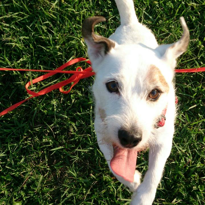 7902db62 6e90 4974 a981 6b4f00759510