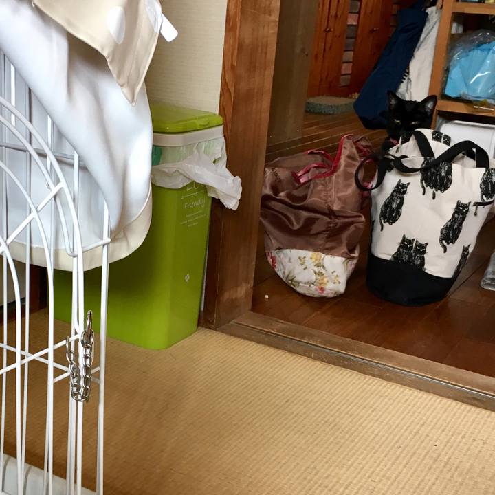 7902eb07 9355 4a75 88f4 2a370ab085d6