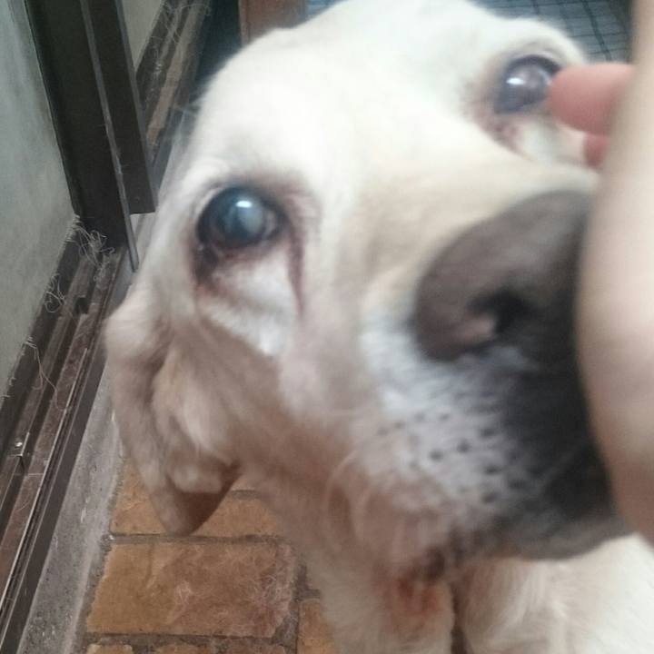 790303ad f5c2 41ee 8238 e43f4037f79d