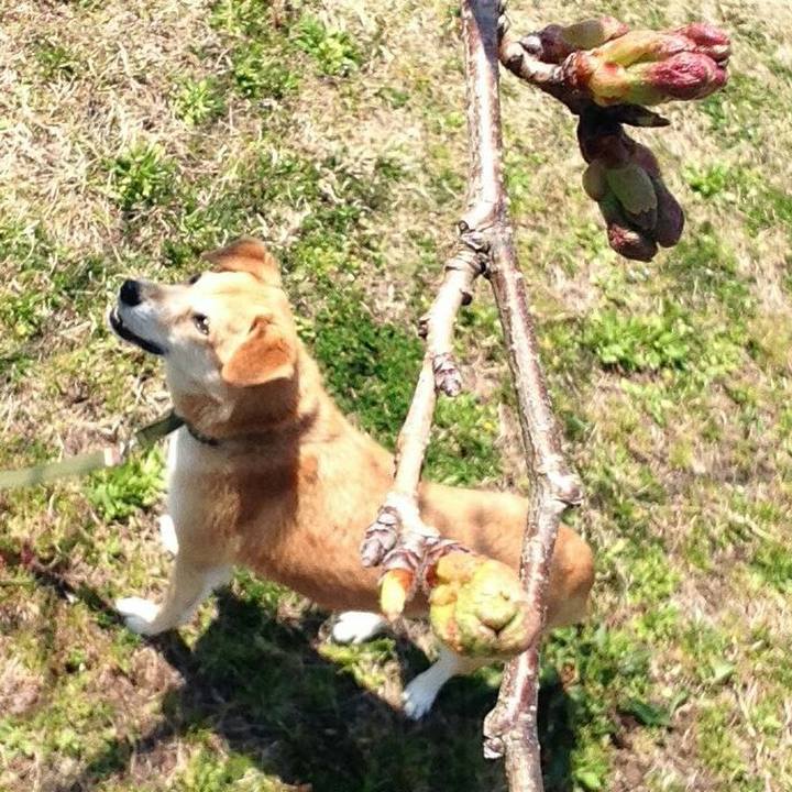 79032754 ce02 4435 b3ec f02c10037e17