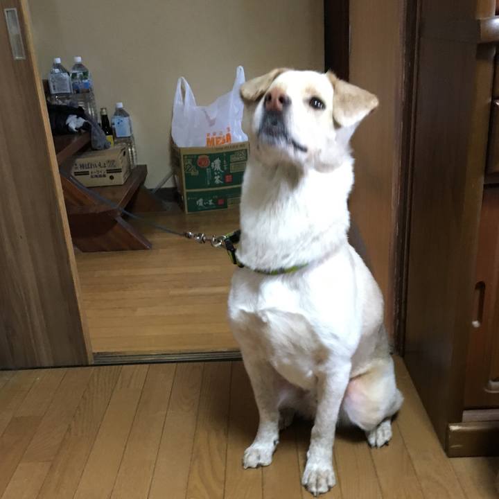 79042725 0997 4f0b 85ca f0a09cdb4b93