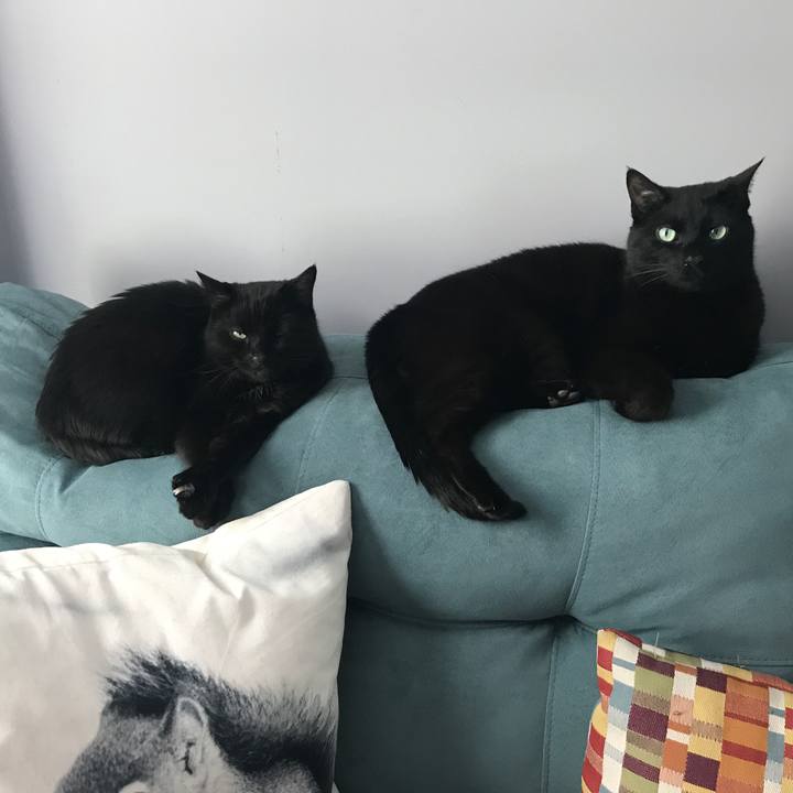 7904851f 9e5f 4692 bc30 fd5374e71cd5