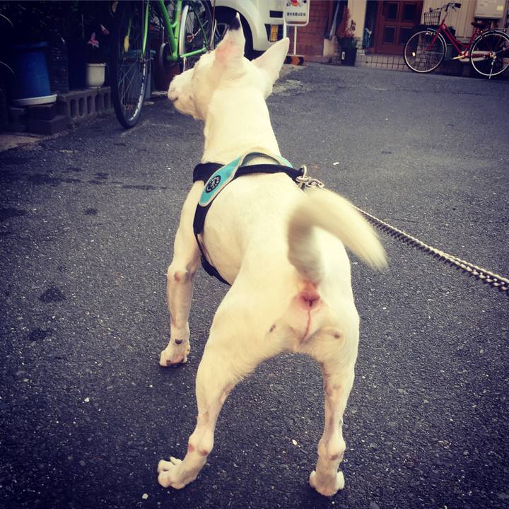 7905058c fec0 4e7b a23d e012b072924e