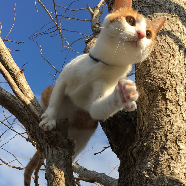 7905ad7d 431d 406c bd92 68978a8f45fa