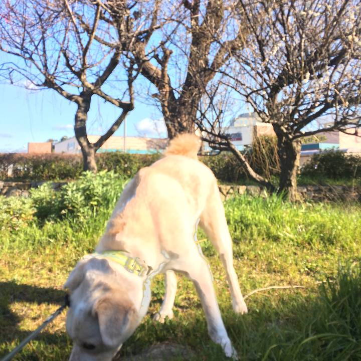 79062664 e1c8 46e5 a344 c325ed8d6eb9