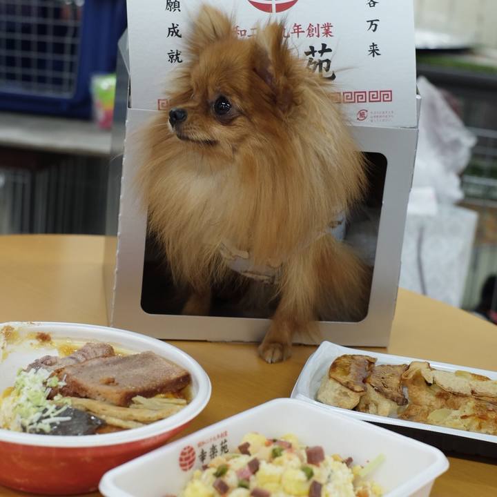 79070d65 1d26 4a29 9bb4 b0d61e6d6321