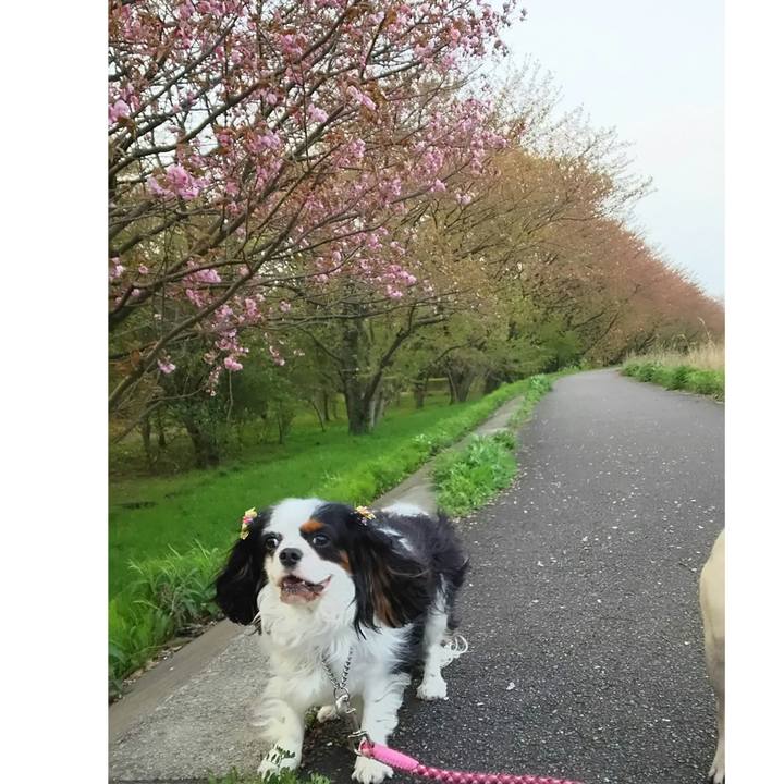 79076696 ad75 4107 8b75 e485396cd193