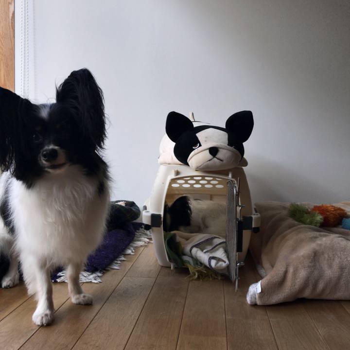 79089e59 0635 4148 8951 09b675c31f96