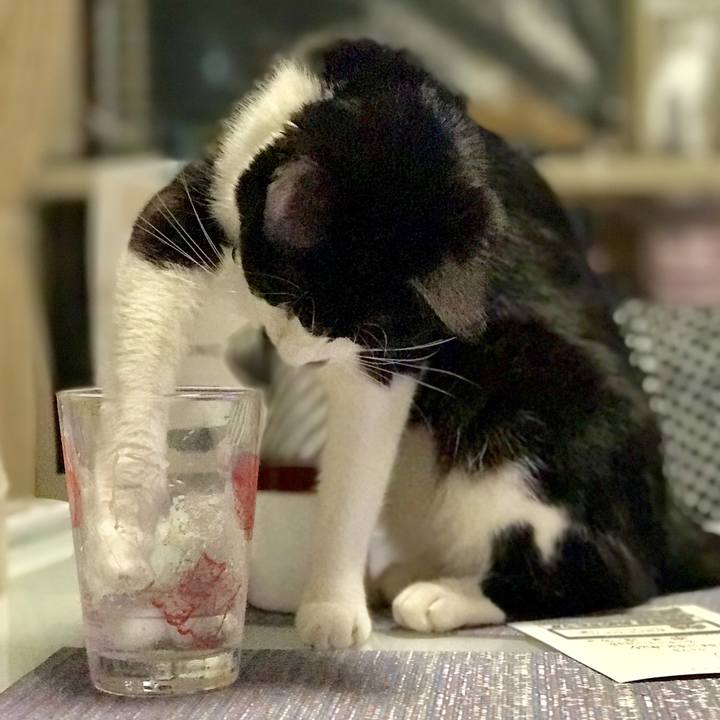 7908b2dd d419 4da9 8b4c d0b119ab1807