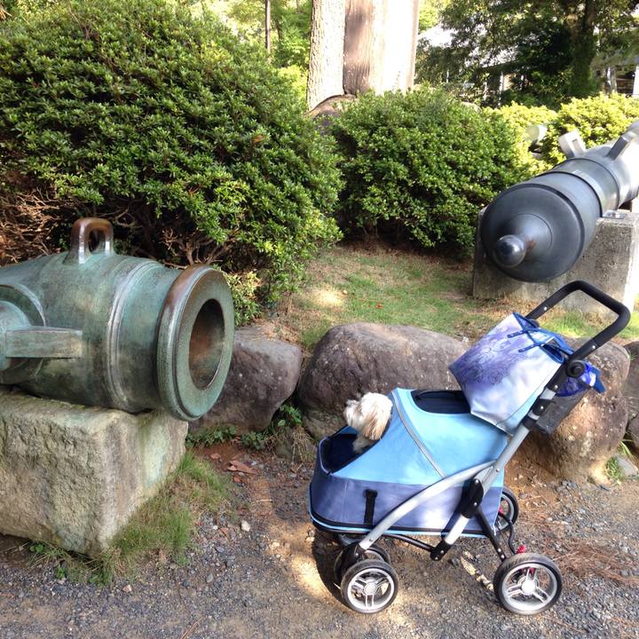 790a4747 b090 40ab 99ee 913ca77be53e