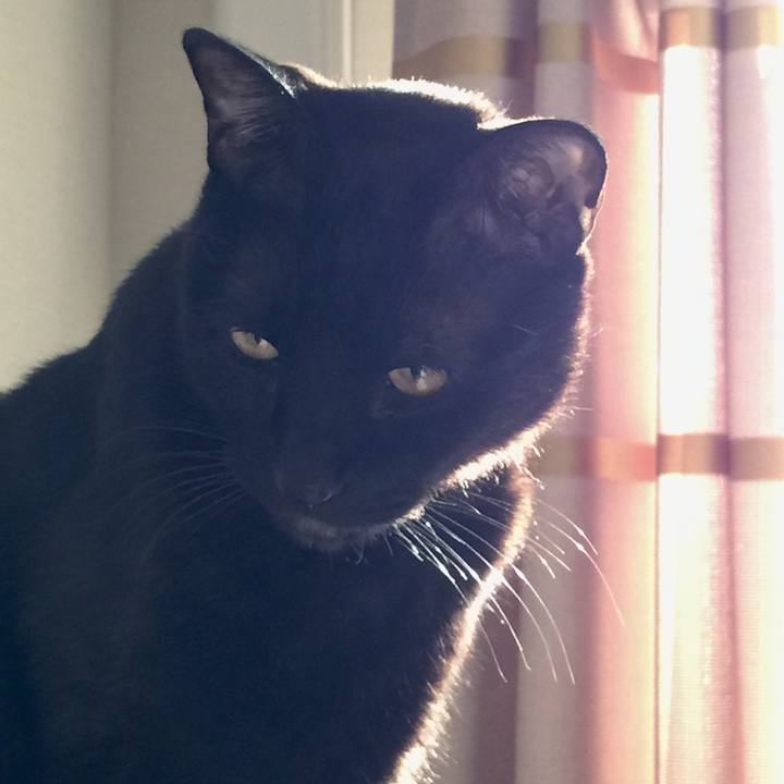 790bff50 79e7 467e b57e bc674e601547