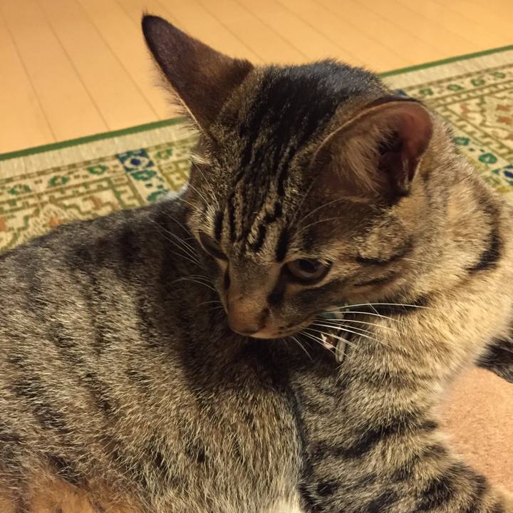 790c13cf f94c 450f a651 5d2534f1ecea