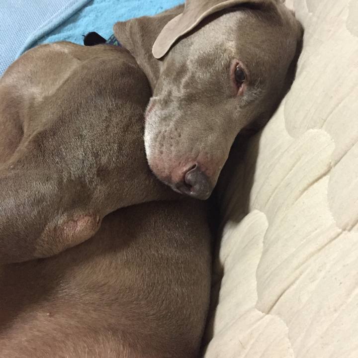 790c1c1a 125a 4c5a a579 d1f6f339efa1