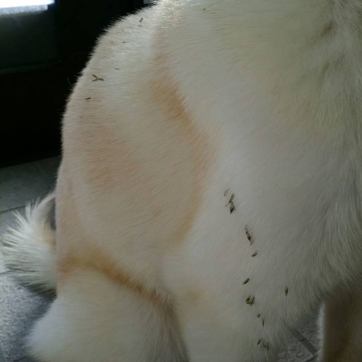 790c4b08 f107 4566 9ccb 1ed6d6b58852