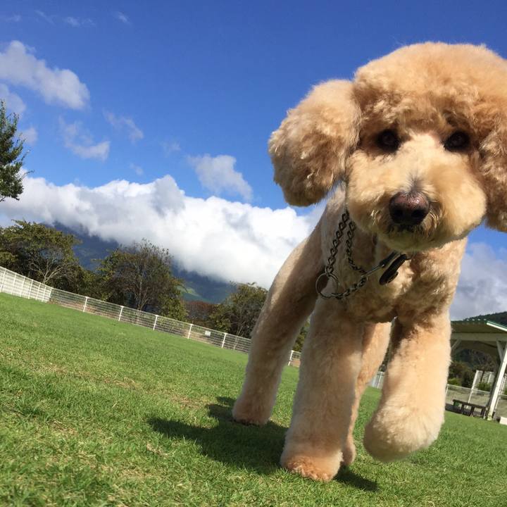 790daa30 18dd 4367 9b81 828ba05c00f9