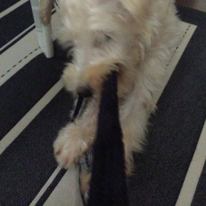 790e1914 d7e1 4b4c a4cc 86ef3ee178a4