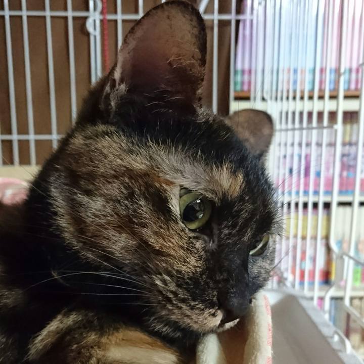 790e1a59 d2b7 4395 a359 68aff256f752