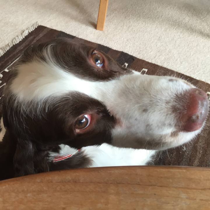 790f4adf ac7a 4f5e 99f7 9516acdf8616