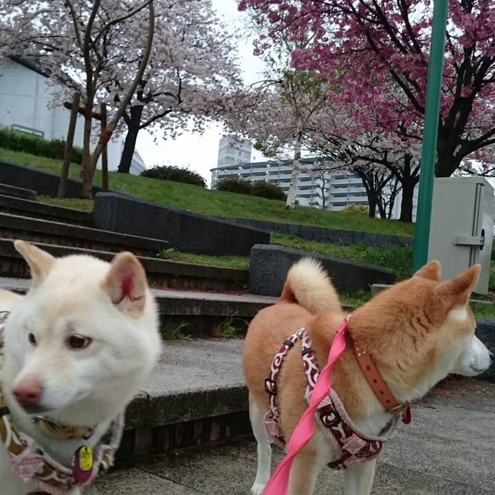 790f530c 3fce 459f b79f 66c023572025