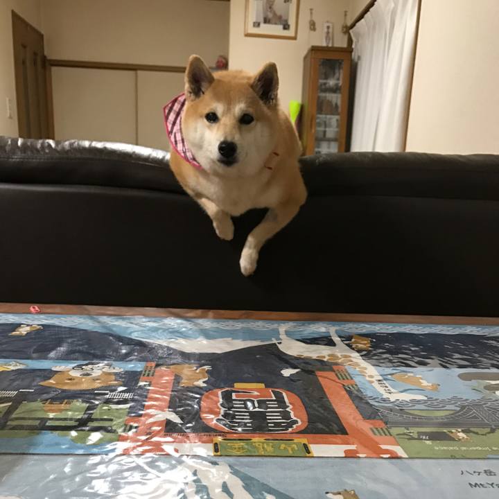 790f7358 70b0 4e88 a383 aa72d6d0d0fc