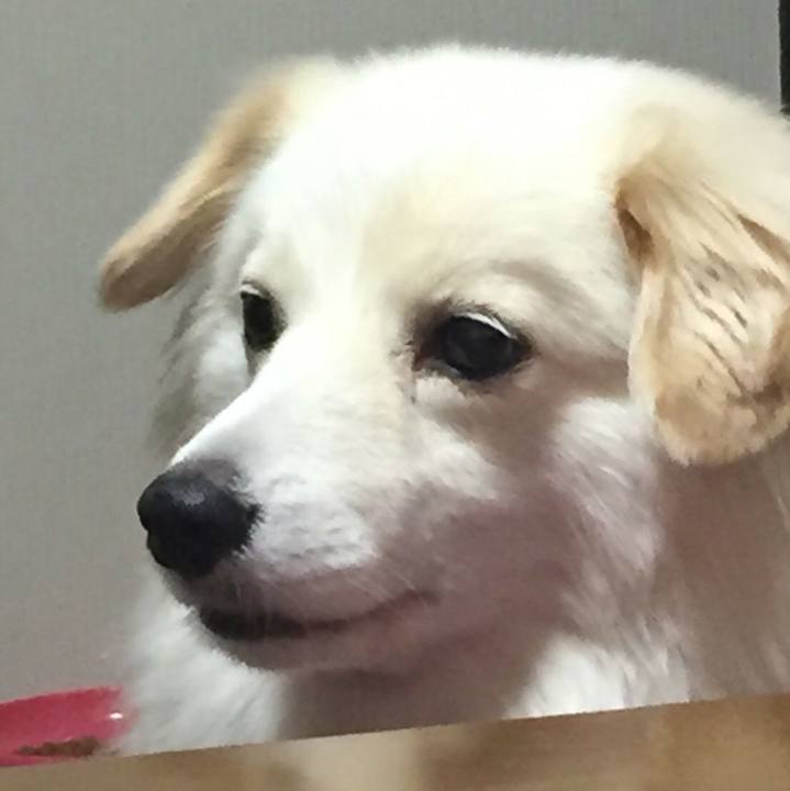 79105a4d 4aa5 43fe 9b3e a9eeb1e206ca