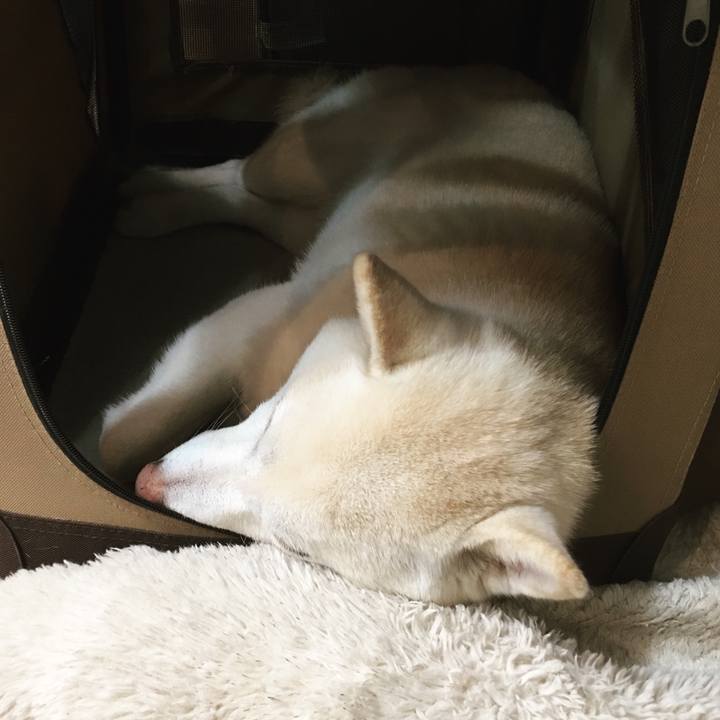 79105a8c 51cc 4882 8d4d 1d65f6d2745a