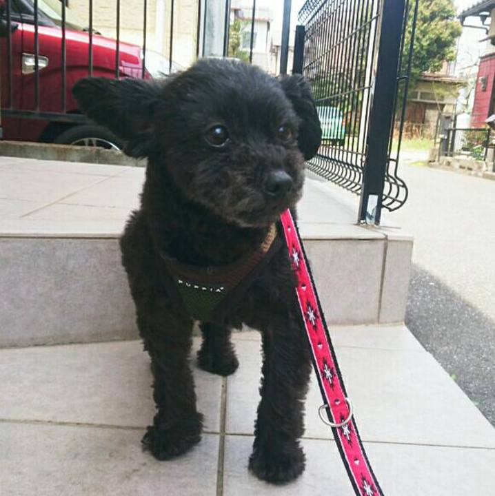 7911262e fad4 44b8 b3cc 4bd43aacb67d