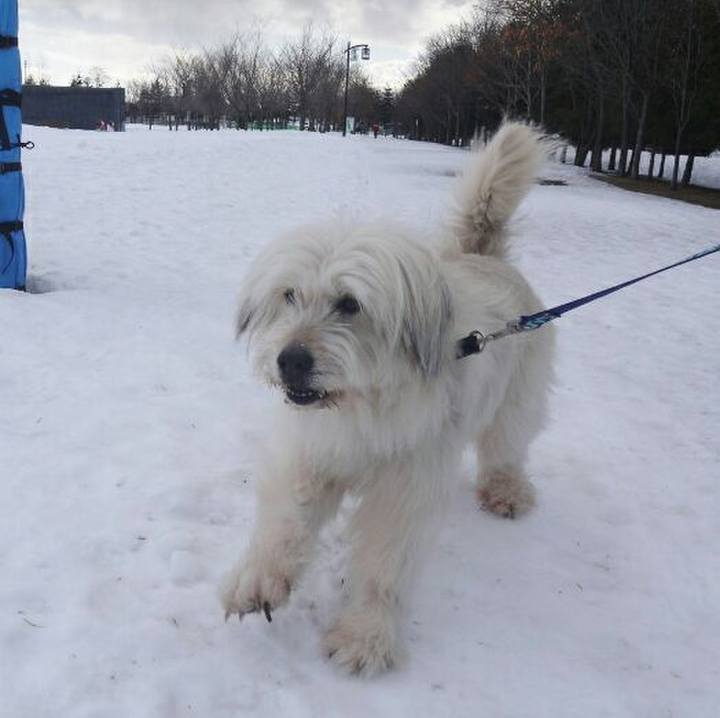 7911e4a3 98e9 43d0 bdcc 9b98eb4cbf84