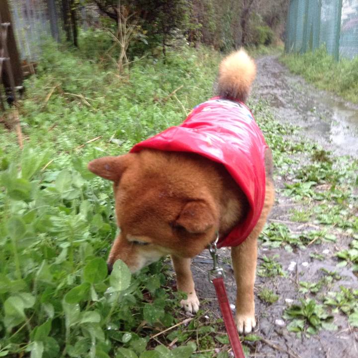 79120398 fef8 4c71 85bb 6b5a71db7da2