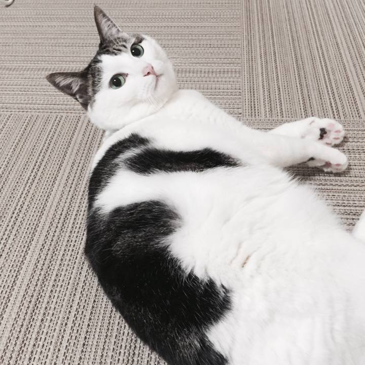 79122840 31a7 4a6d 9181 24625bf5ce3d