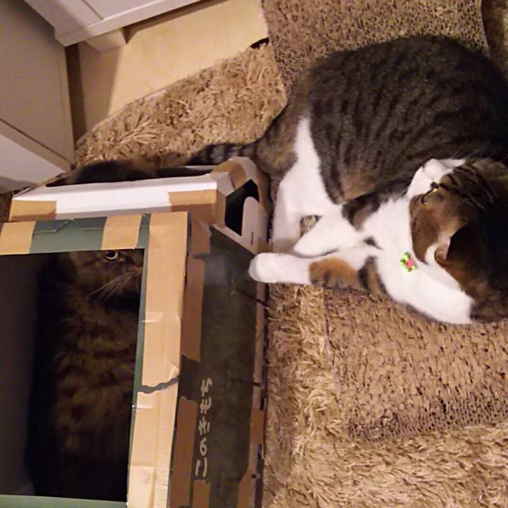 7912c14d a945 41e9 8f54 c1bdec346649