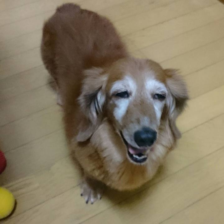 7914c210 8d2e 43c5 a27c dd67d625be82