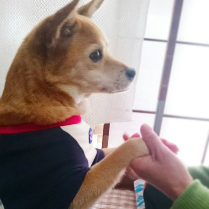 7915bf7c 00d0 4b1c b889 be74fe6578ce