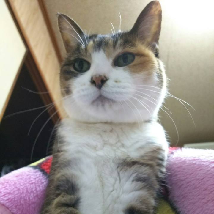 79169f2e dc7d 4af8 bbdb b16aeb7fef6f