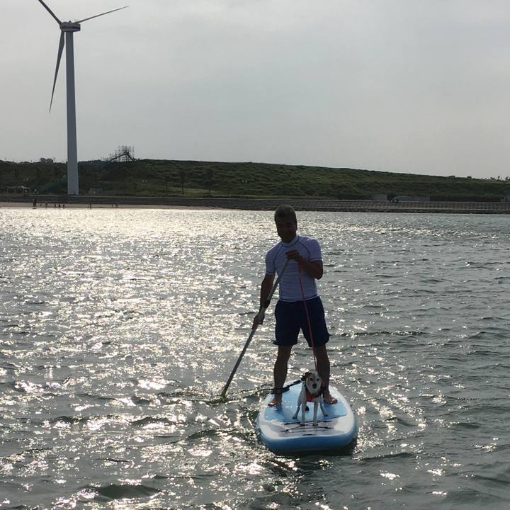 7916ca73 244c 4879 bc1c 312eaf6da0ad