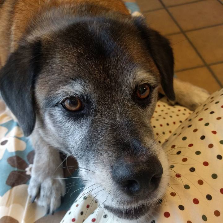 7916de59 b11b 4246 92b7 c682ac5920eb