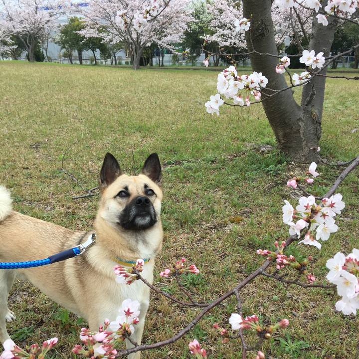 79172fb9 027b 44f0 b41d b5e5462d0693