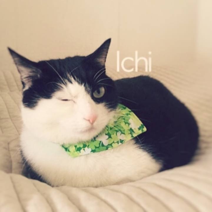 79174341 d6c1 4a04 af6c 49d67a019340