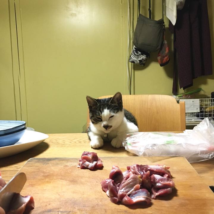 791752a7 e7a3 499c 9f87 013e19e60451