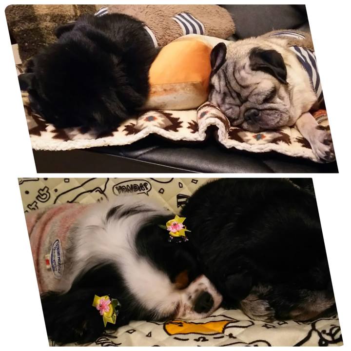 79179516 8fa0 4b84 a90f 523eb1949938