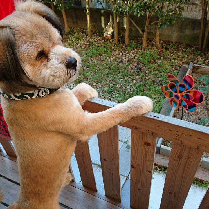 79192844 fe87 4ddf 8e0c e56815529395