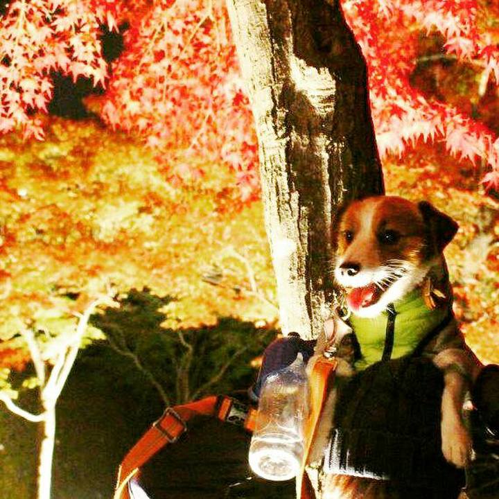 79196753 a0ac 4b45 92d2 187cec7f4700