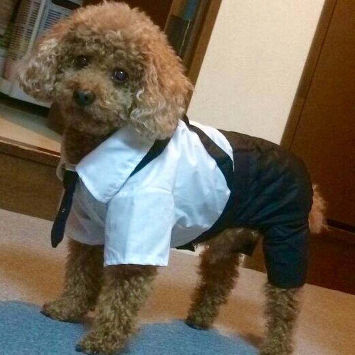 79196fc0 5c49 4aca ac4c 2a23a06067bd